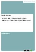 Weltbild und Lebensform bei Ludwig Wittgenstein unter dem Aspekt der Sprache