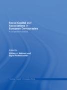 Social Capital and Associations in European Democracies