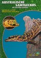 Australische Samtgeckos