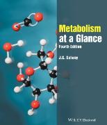 Metabolism at a Glance