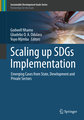 Scaling up SDGs Implementation