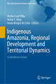 Indigenous Amazonia, Regional Development and Territorial Dynamics