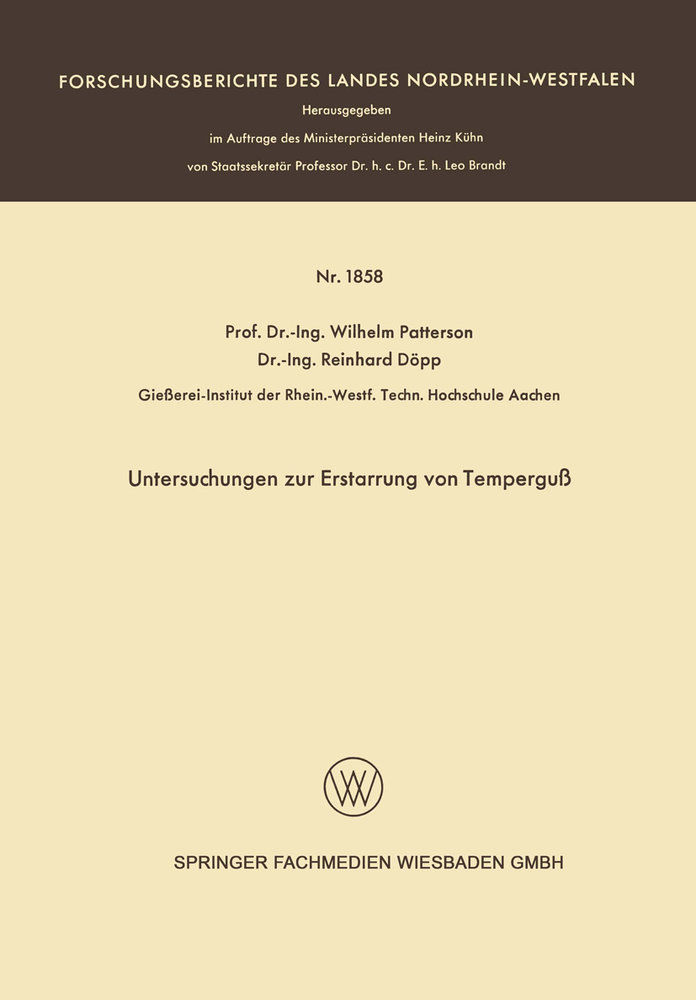 Untersuchungen zur Erstarrung von Temperguß