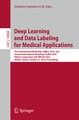 Deep Learning and Data Labeling for Medical Applications