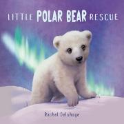 Little Polar Bear Rescue