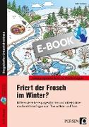 Friert der Frosch im Winter?