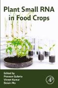 Plant Small RNA in Food Crops