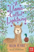 A Llama Called Lightning