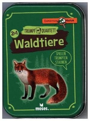 Quartett - Natur Waldtiere