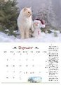 DUMONT - DUMONTS Katzenkalender 2025 Broschürenkalender, 42x29cm, Wandkalender mit kurzweiligen Katzengeschichten von Jette Jorjan, mit Schulferienterminen und Jahresübersicht