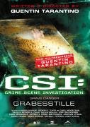 CSI: Grabesstille