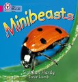 Minibeasts