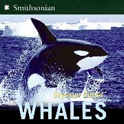 Whales