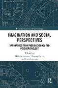 Imagination and Social Perspectives