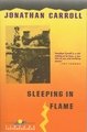 Sleeping in Flame