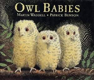 Owl Babies