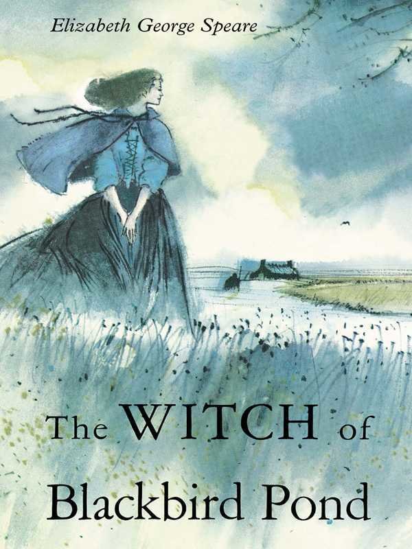 The Witch Of Blackbird Pond