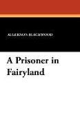 A Prisoner in Fairyland