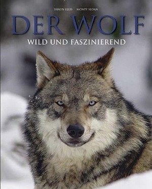 Der Wolf