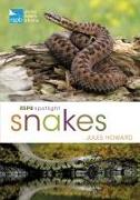 Rspb Spotlight Snakes