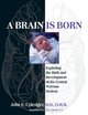 A Brain Is Born