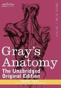 Gray's Anatomy