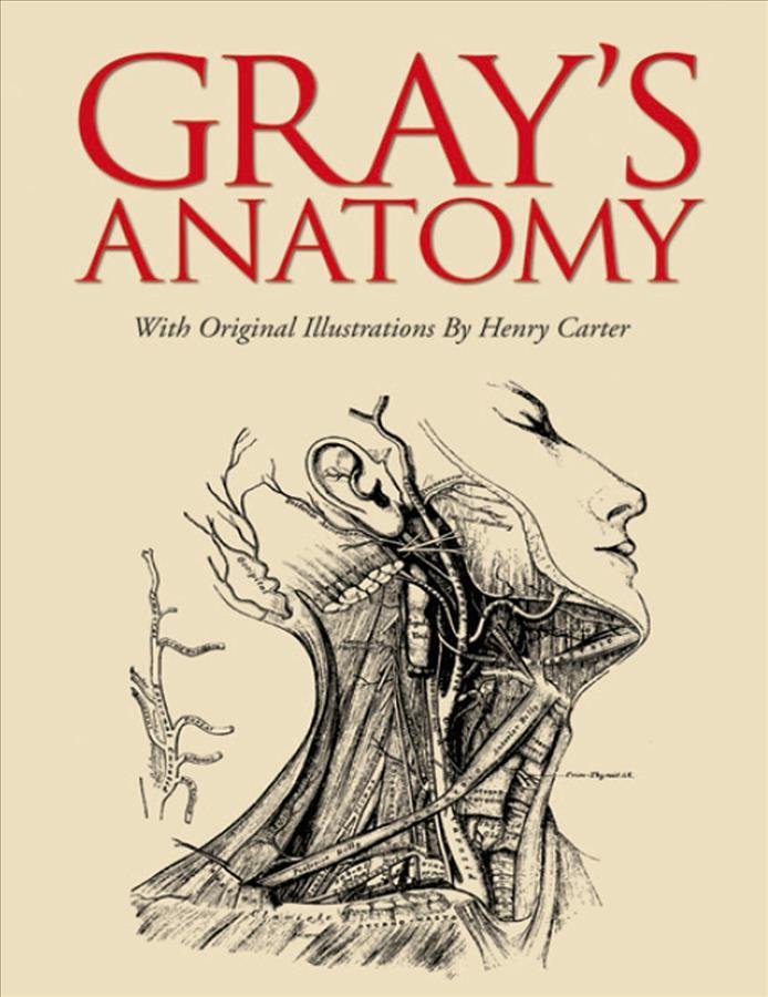 Gray's Anatomy: Slip-Case Edition