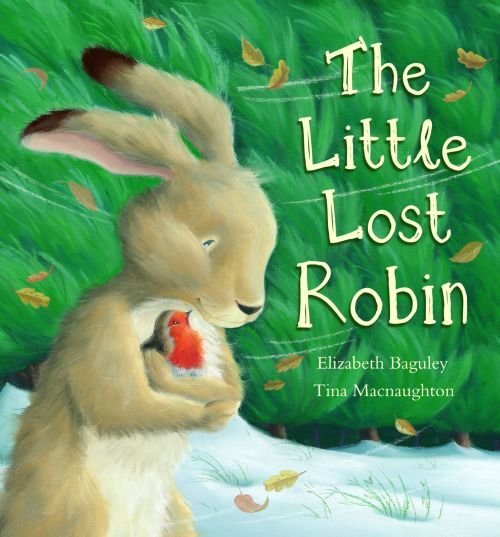 The Little Lost Robin