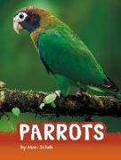 Parrots