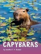 Capybaras