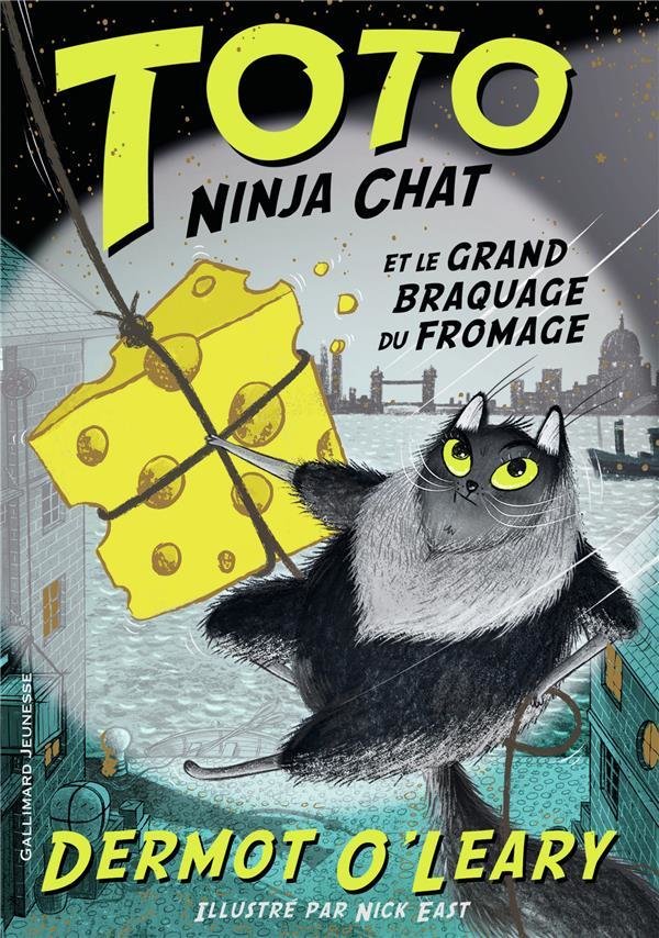 Toto ninja chat