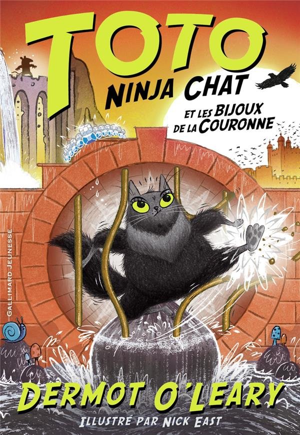 Toto ninja chat