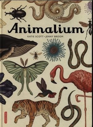 Animalium