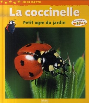 La coccinelle: petit ogre du jardin