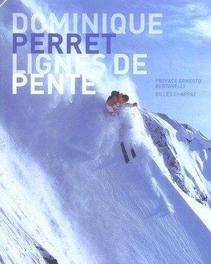 Dominique Perret: Lignes de pente