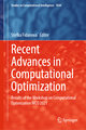 Recent Advances in Computational Optimization