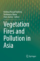 Vegetation Fires and Pollution in Asia