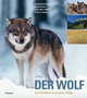 Der Wolf