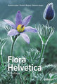 Flora Helvetica - Illustrierte Flora der Schweiz