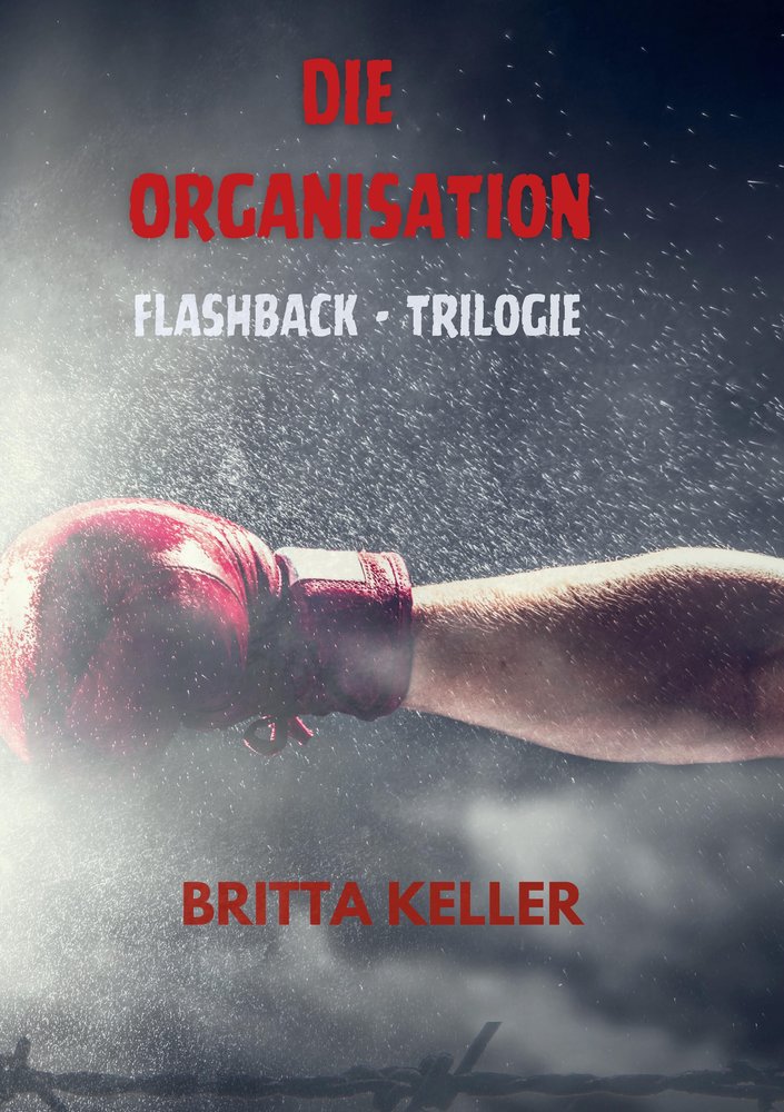 Die Organisation-Flashback-Trilogie