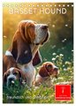 Basset Hound - freundlich und anhänglich (Tischkalender 2025 DIN A5 hoch), CALVENDO Monatskalender