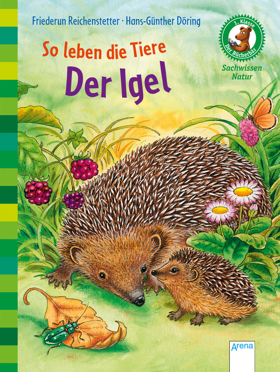 Der Igel - So leben die Tiere