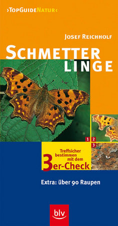 Schmetterlinge