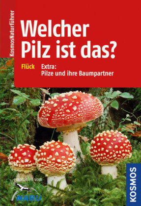 Welcher Pilz ist das?