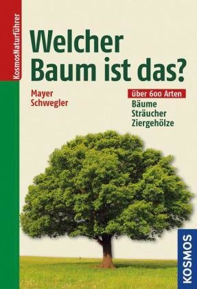 Welcher Baum ist das?