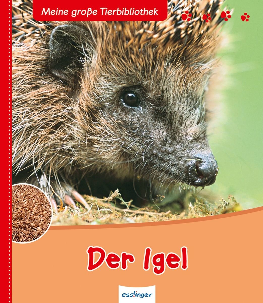 Der Igel