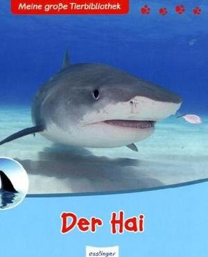 Der Hai