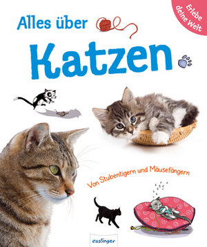 Alles über Katzen