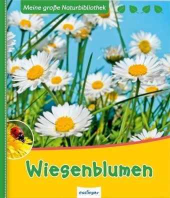 Wiesenblumen