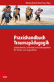 Praxishandbuch Traumapädagogik